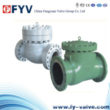 API6d Wafer Lift/Swing Check Valves